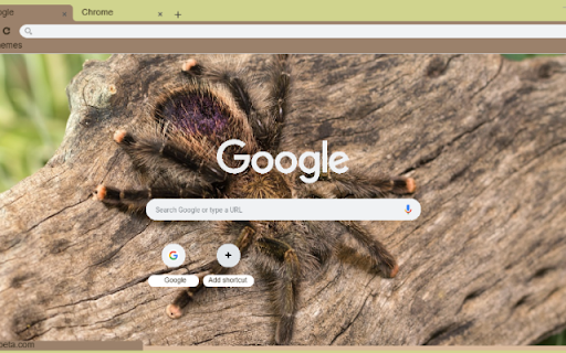 Nhen Rung from Chrome web store to be run with OffiDocs Chromium online Nhen Rung from Chrome web store to be run with OffiDocs Chromium online