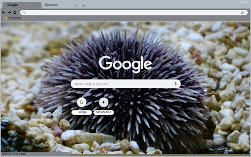 Nhim Bien from Chrome web store to be run with OffiDocs Chromium online Nhim Bien from Chrome web store to be run with OffiDocs Chromium online