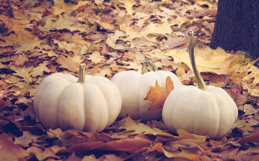 Old white pumpkin from Chrome web store to be run with OffiDocs Chromium online Old white pumpkin from Chrome web store to be run with OffiDocs Chromium online