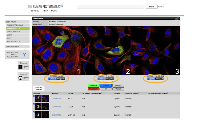 Open in ImageJ.JS from Chrome web store to be run with OffiDocs Chromium online Open in ImageJ.JS from Chrome web store to be run with OffiDocs Chromium online