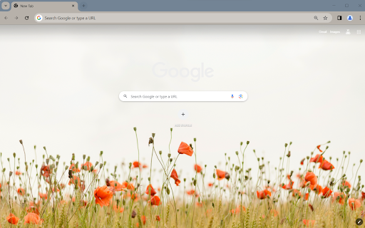 OrangeFlower Browser Theme from Chrome web store to be run with OffiDocs Chromium online OrangeFlower Browser Theme from Chrome web store to be run with OffiDocs Chromium online