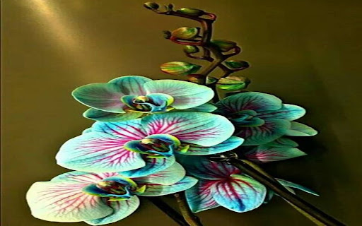 Orchid wallpaper with light blue clouds and purple veins from Chrome web store to be run with OffiDocs Chromium online Orchid wallpaper with light blue clouds and purple veins from Chrome web store to be run with OffiDocs Chromium online