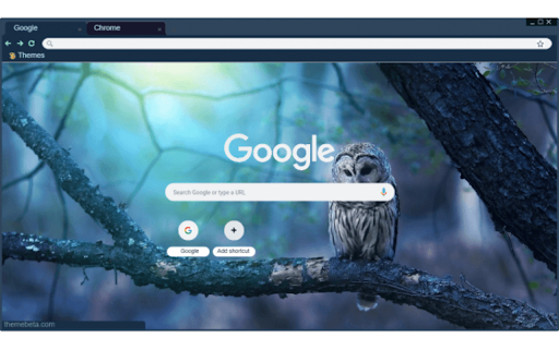 Owl on a Branch from Chrome web store to be run with OffiDocs Chromium online Owl on a Branch from Chrome web store to be run with OffiDocs Chromium online