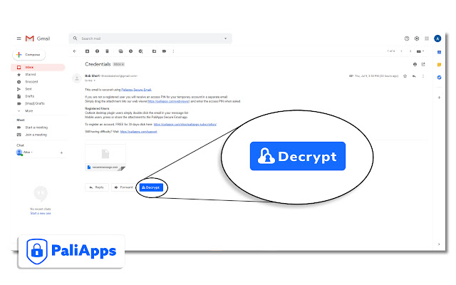PaliApps Secure Email from Chrome web store to be run with OffiDocs Chromium online PaliApps Secure Email from Chrome web store to be run with OffiDocs Chromium online