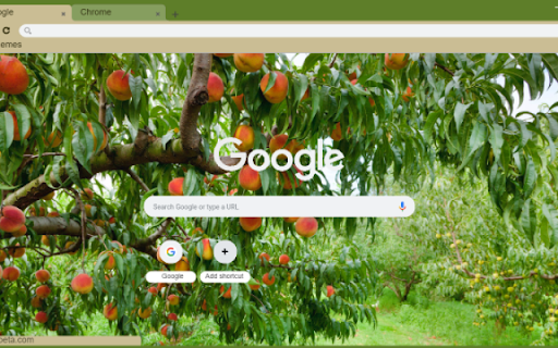 Peach Tree from Chrome web store to be run with OffiDocs Chromium online Peach Tree from Chrome web store to be run with OffiDocs Chromium online