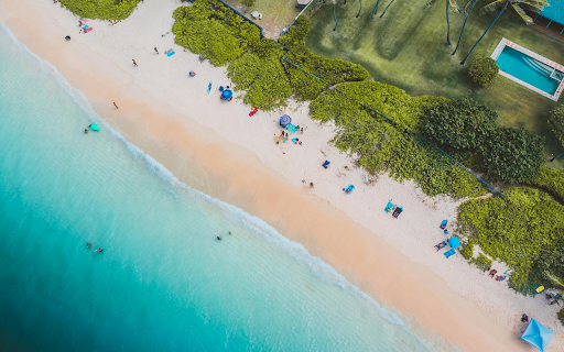 People on Beach Shore Near Green Grass from Chrome web store to be run with OffiDocs Chromium online People on Beach Shore Near Green Grass from Chrome web store to be run with OffiDocs Chromium online