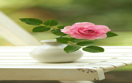 Pink rose vase wallpaper from Chrome web store to be run with OffiDocs Chromium online Pink rose vase wallpaper from Chrome web store to be run with OffiDocs Chromium online