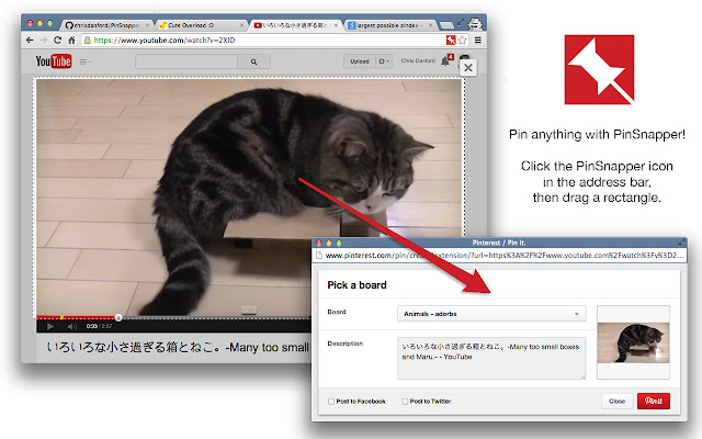 PinSnapper from Chrome web store to be run with OffiDocs Chromium online PinSnapper from Chrome web store to be run with OffiDocs Chromium online
