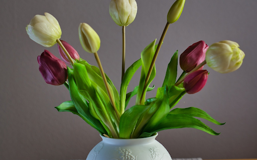 Plastic tulips from Chrome web store to be run with OffiDocs Chromium online Plastic tulips from Chrome web store to be run with OffiDocs Chromium online