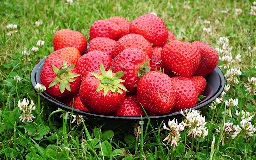 Plate of strawberries in the grass garden from Chrome web store to be run with OffiDocs Chromium online Plate of strawberries in the grass garden from Chrome web store to be run with OffiDocs Chromium online