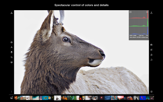 Polarr Photo Editor from Chrome web store to be run with OffiDocs Chromium online Polarr Photo Editor from Chrome web store to be run with OffiDocs Chromium online