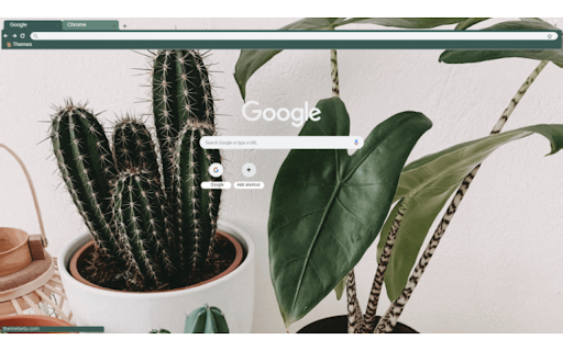 Potted Cacti from Chrome web store to be run with OffiDocs Chromium online Potted Cacti from Chrome web store to be run with OffiDocs Chromium online