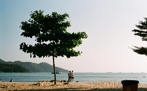 Quiet Moments by the Sea from Chrome web store to be run with OffiDocs Chromium online Quiet Moments by the Sea from Chrome web store to be run with OffiDocs Chromium online