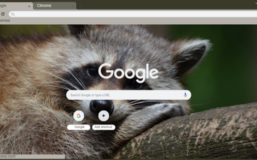 Raccoon from Chrome web store to be run with OffiDocs Chromium online Raccoon from Chrome web store to be run with OffiDocs Chromium online