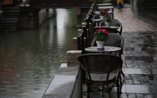 Rain falls by the lake from Chrome web store to be run with OffiDocs Chromium online Rain falls by the lake from Chrome web store to be run with OffiDocs Chromium online
