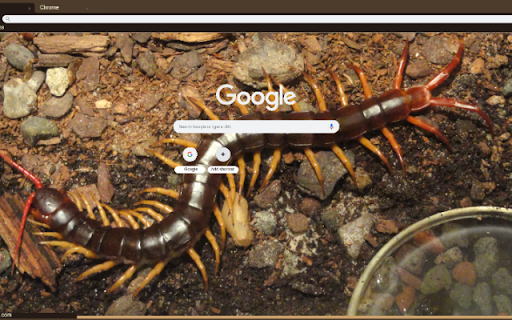 Ret from Chrome web store to be run with OffiDocs Chromium online Ret from Chrome web store to be run with OffiDocs Chromium online