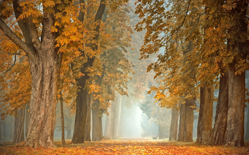 Road autumn from Chrome web store to be run with OffiDocs Chromium online Road autumn from Chrome web store to be run with OffiDocs Chromium online