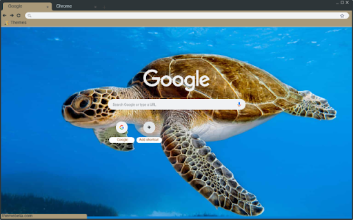 Rua from Chrome web store to be run with OffiDocs Chromium online Rua from Chrome web store to be run with OffiDocs Chromium online