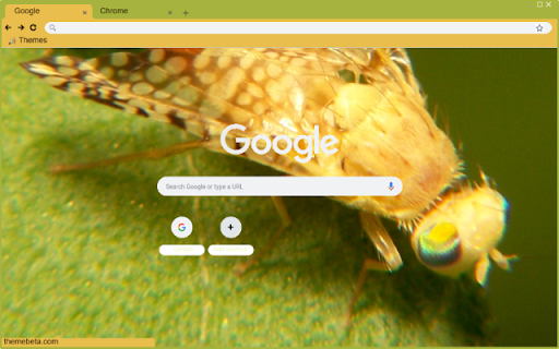 Ruoi vang from Chrome web store to be run with OffiDocs Chromium online Ruoi vang from Chrome web store to be run with OffiDocs Chromium online