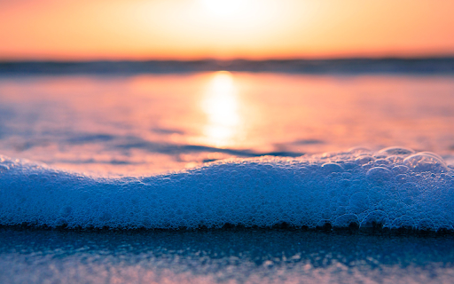 Sea foam from Chrome web store to be run with OffiDocs Chromium online Sea foam from Chrome web store to be run with OffiDocs Chromium online