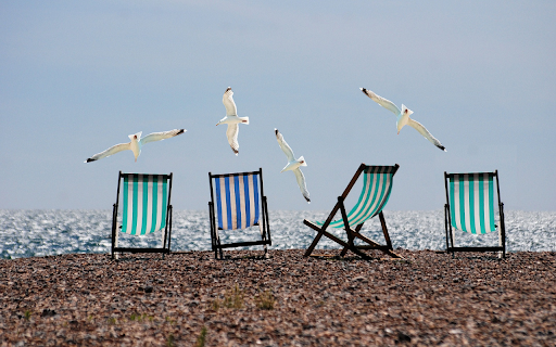 Seagulls spread their wings from Chrome web store to be run with OffiDocs Chromium online Seagulls spread their wings from Chrome web store to be run with OffiDocs Chromium online