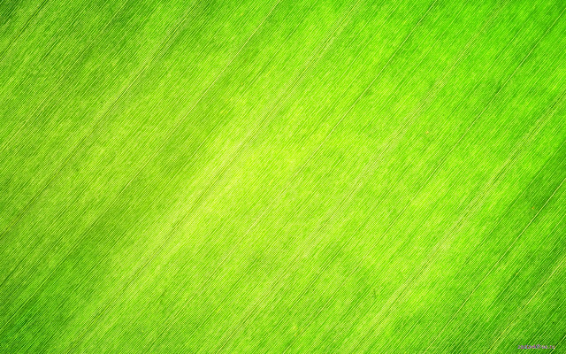Shabby Green from Chrome web store to be run with OffiDocs Chromium online Shabby Green from Chrome web store to be run with OffiDocs Chromium online
