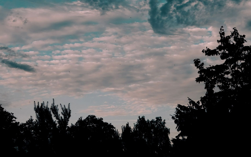 Silhouetted Trees Against Cloudy Sky from Chrome web store to be run with OffiDocs Chromium online Silhouetted Trees Against Cloudy Sky from Chrome web store to be run with OffiDocs Chromium online