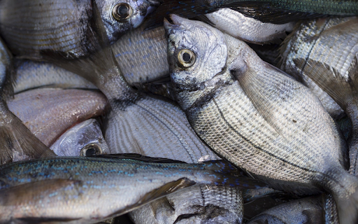 Silver sea fish from Chrome web store to be run with OffiDocs Chromium online Silver sea fish from Chrome web store to be run with OffiDocs Chromium online