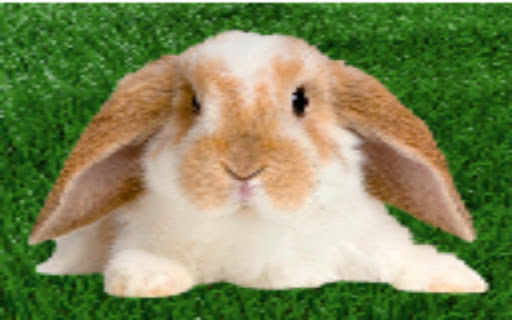 Smack Da Rat Not Da Rabbit Full Screen 2025 from Chrome web store to be run with OffiDocs Chromium online Smack Da Rat Not Da Rabbit Full Screen 2025 from Chrome web store to be run with OffiDocs Chromium online