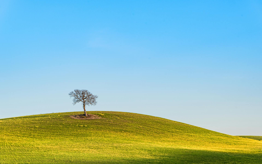 Small Tree on Grassy Hill from Chrome web store to be run with OffiDocs Chromium online Small Tree on Grassy Hill from Chrome web store to be run with OffiDocs Chromium online