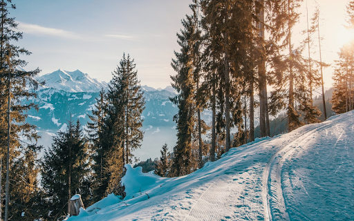Snow white forest from Chrome web store to be run with OffiDocs Chromium online Snow white forest from Chrome web store to be run with OffiDocs Chromium online