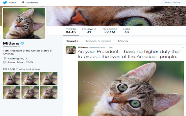 Snuggly Trump from Chrome web store to be run with OffiDocs Chromium online Snuggly Trump from Chrome web store to be run with OffiDocs Chromium online