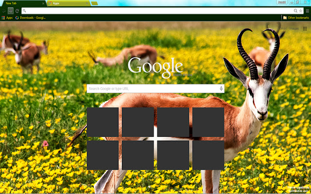 Springbok from Chrome web store to be run with OffiDocs Chromium online Springbok from Chrome web store to be run with OffiDocs Chromium online