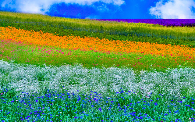 Spring Weather Brisbane from Chrome web store to be run with OffiDocs Chromium online Spring Weather Brisbane from Chrome web store to be run with OffiDocs Chromium online