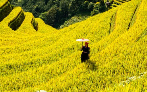 STAIRS THEME from Chrome web store to be run with OffiDocs Chromium online STAIRS THEME from Chrome web store to be run with OffiDocs Chromium online