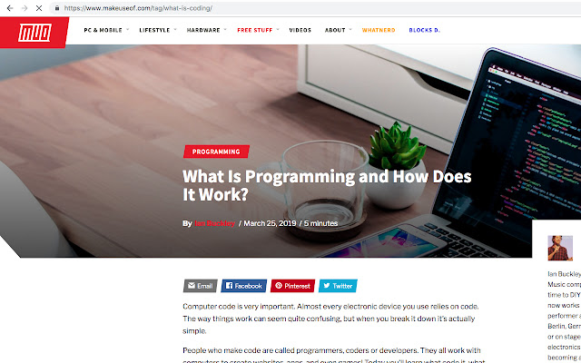 Stop Coding! from Chrome web store to be run with OffiDocs Chromium online Stop Coding! from Chrome web store to be run with OffiDocs Chromium online
