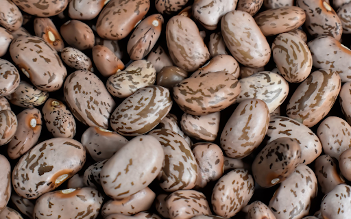 Striped brown beans from Chrome web store to be run with OffiDocs Chromium online Striped brown beans from Chrome web store to be run with OffiDocs Chromium online