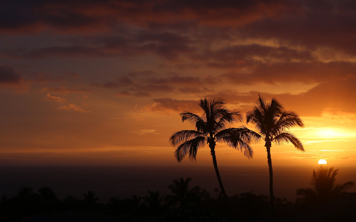 Sunset behind the coconut groves from Chrome web store to be run with OffiDocs Chromium online Sunset behind the coconut groves from Chrome web store to be run with OffiDocs Chromium online