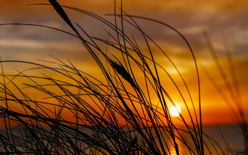 Sunset by the lake from Chrome web store to be run with OffiDocs Chromium online Sunset by the lake from Chrome web store to be run with OffiDocs Chromium online