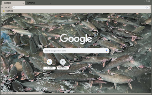 Suoi Ca Than Cam Luong 2 from Chrome web store to be run with OffiDocs Chromium online Suoi Ca Than Cam Luong 2 from Chrome web store to be run with OffiDocs Chromium online