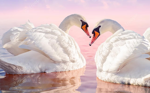 Swan id MIG8 from Chrome web store to be run with OffiDocs Chromium online Swan id MIG8 from Chrome web store to be run with OffiDocs Chromium online