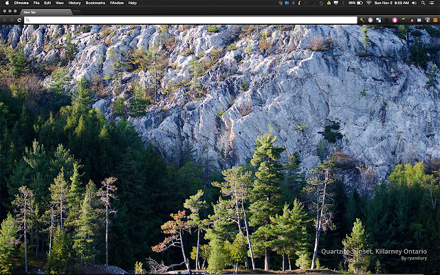 tab.pics from Chrome web store to be run with OffiDocs Chromium online tab.pics from Chrome web store to be run with OffiDocs Chromium online