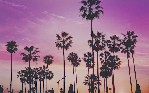 Tall palm trees from Chrome web store to be run with OffiDocs Chromium online Tall palm trees from Chrome web store to be run with OffiDocs Chromium online