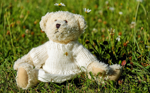 Teddy bear on the grass from Chrome web store to be run with OffiDocs Chromium online Teddy bear on the grass from Chrome web store to be run with OffiDocs Chromium online