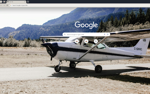 the BroThome private jet soaring over New York City from Chrome web store to be run with OffiDocs Chromium online the BroThome private jet soaring over New York City from Chrome web store to be run with OffiDocs Chromium online