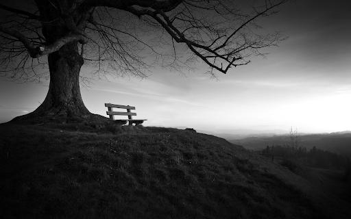The chair next to the tree from Chrome web store to be run with OffiDocs Chromium online The chair next to the tree from Chrome web store to be run with OffiDocs Chromium online