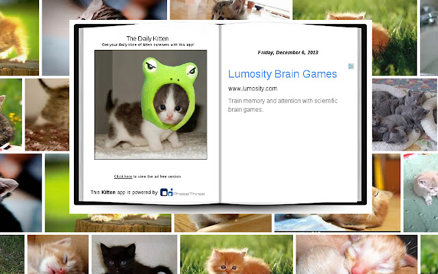 The Daily Kitten from Chrome web store to be run with OffiDocs Chromium online The Daily Kitten from Chrome web store to be run with OffiDocs Chromium online