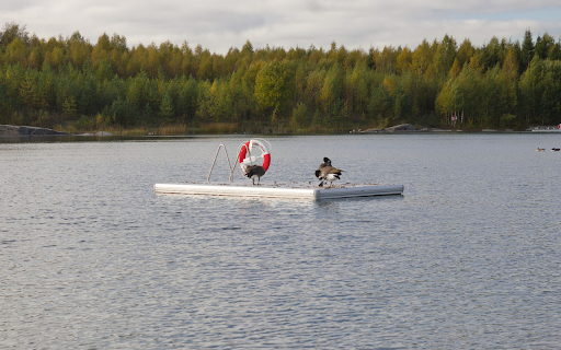 The inflatable raft and the goose from Chrome web store to be run with OffiDocs Chromium online The inflatable raft and the goose from Chrome web store to be run with OffiDocs Chromium online