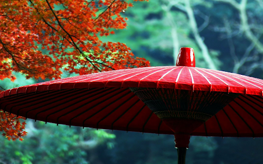 The Red Umbrella in Autumn from Chrome web store to be run with OffiDocs Chromium online The Red Umbrella in Autumn from Chrome web store to be run with OffiDocs Chromium online