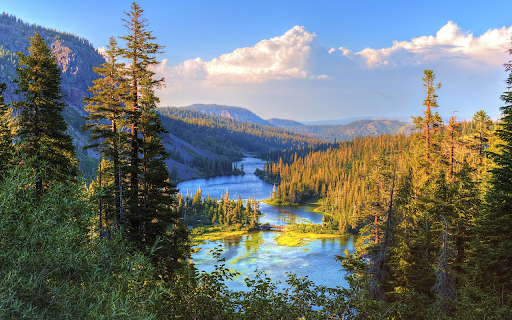 The river flows through the forest from Chrome web store to be run with OffiDocs Chromium online The river flows through the forest from Chrome web store to be run with OffiDocs Chromium online